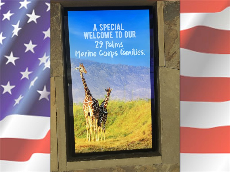 Living Desert 2019 (1)