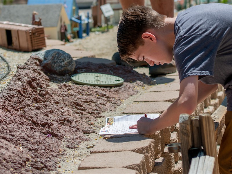 Living Desert 2019 (13)