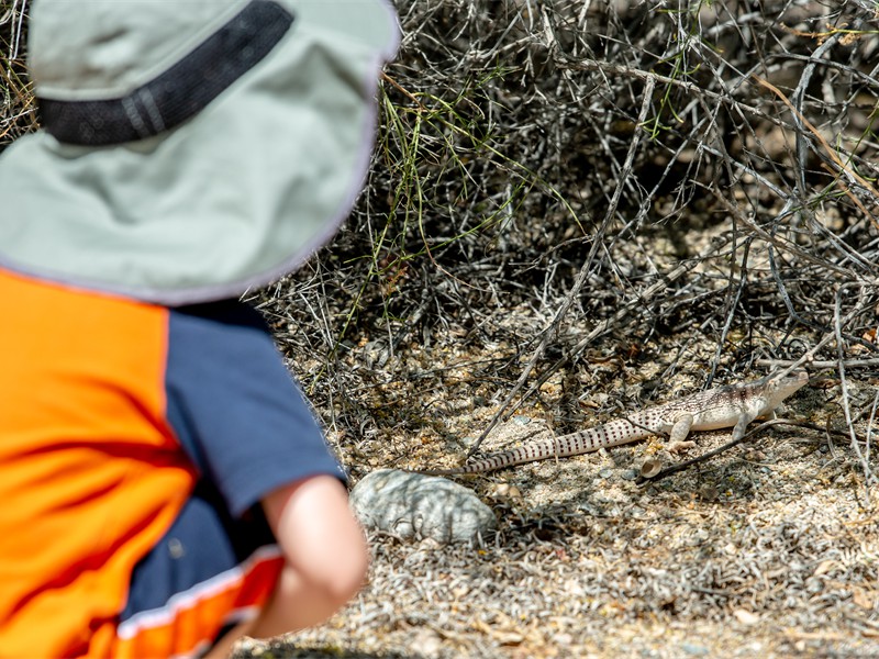 Living Desert 2019 (19)