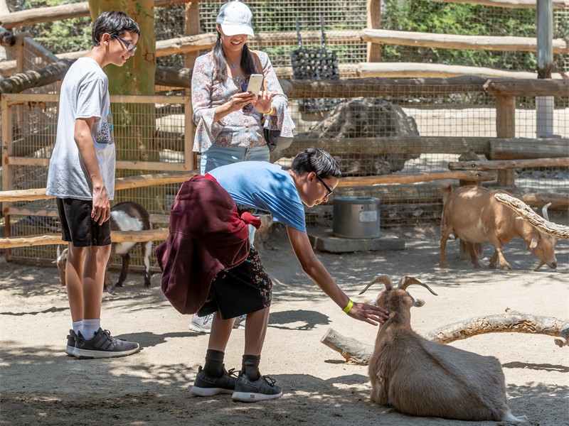 Living Desert 2019 (24)