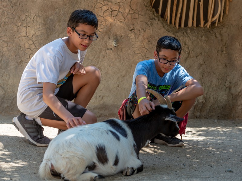 Living Desert 2019 (27)